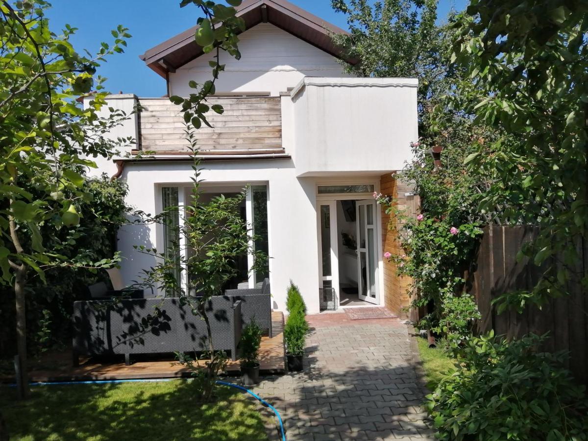 Casa Scheiana Bed & Breakfast บราชอฟ ภายนอก รูปภาพ