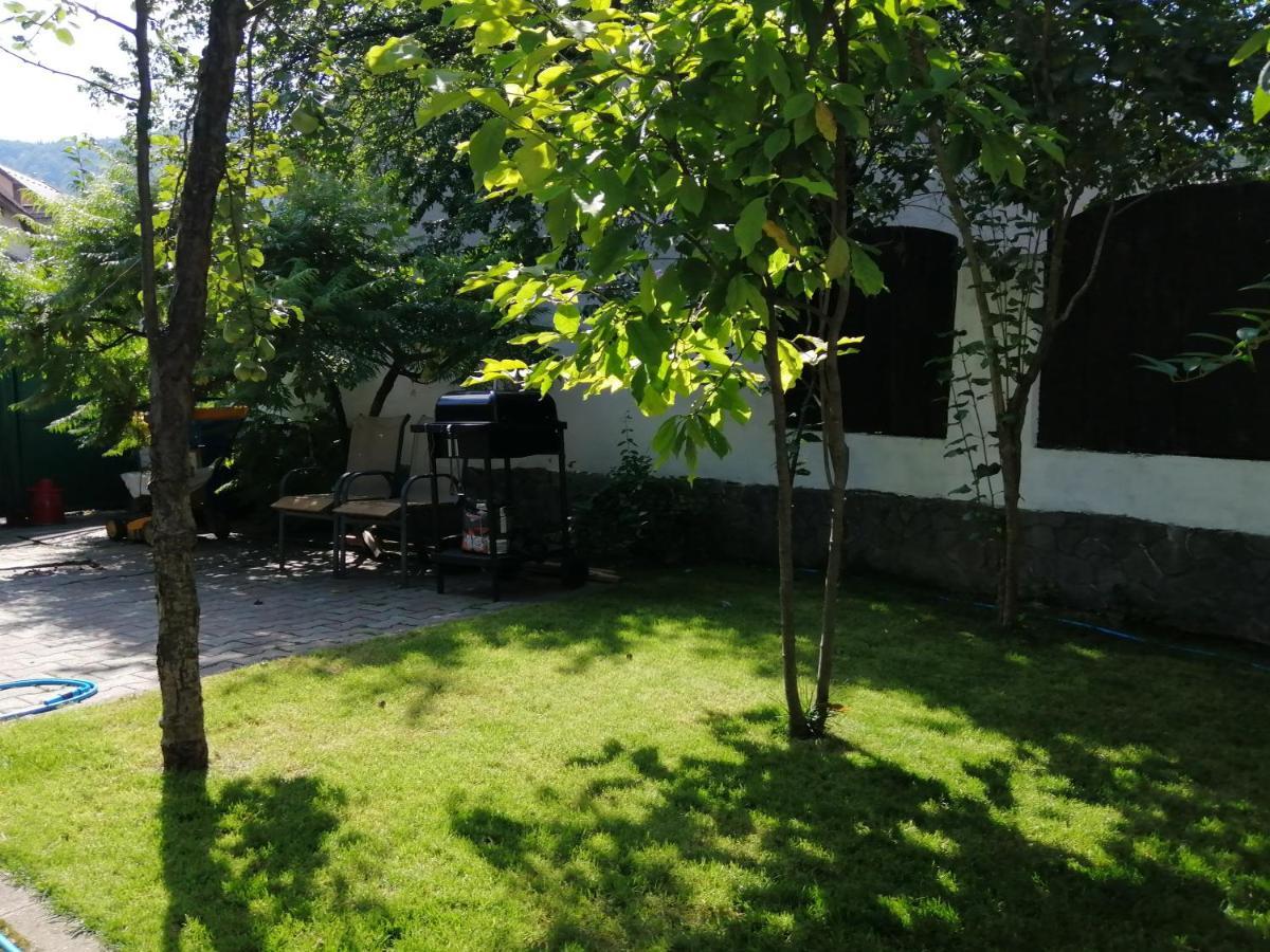 Casa Scheiana Bed & Breakfast บราชอฟ ภายนอก รูปภาพ