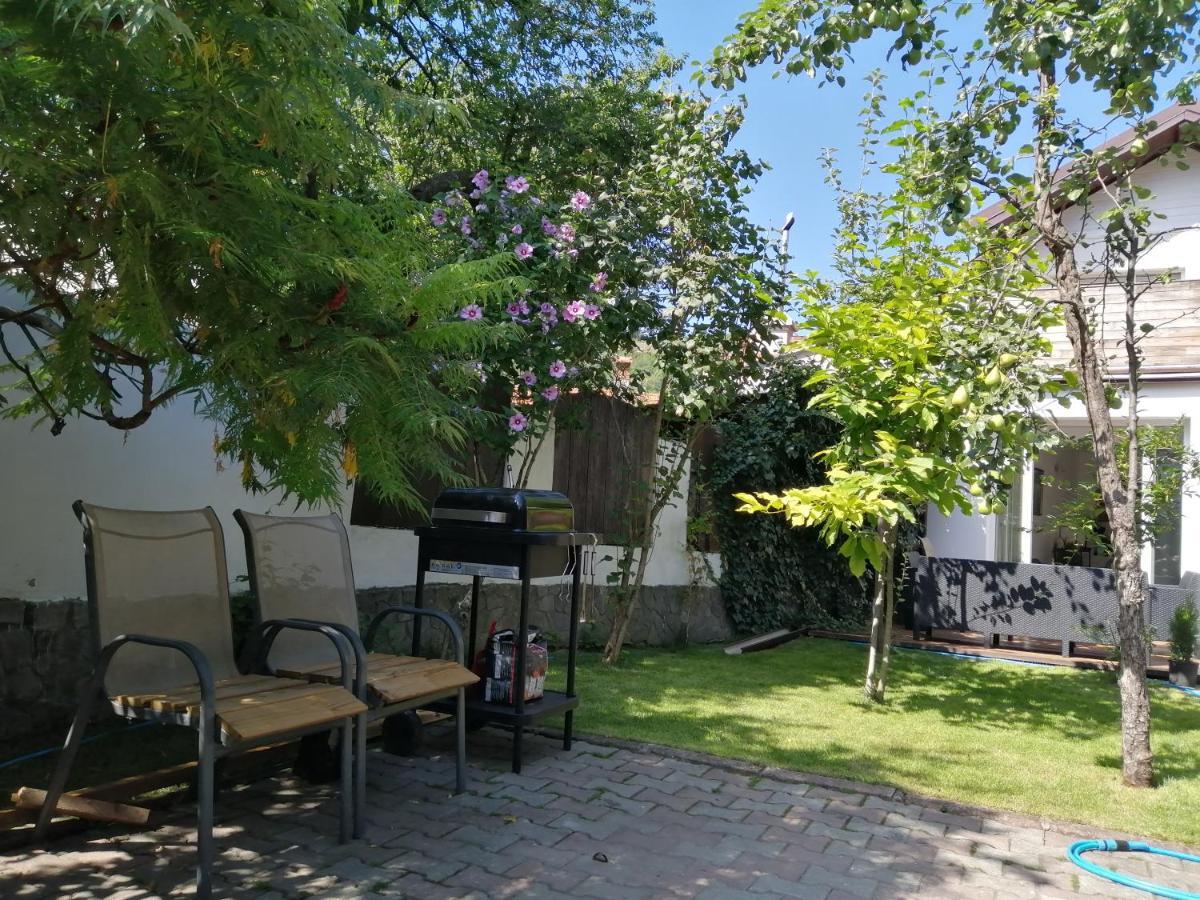 Casa Scheiana Bed & Breakfast บราชอฟ ภายนอก รูปภาพ