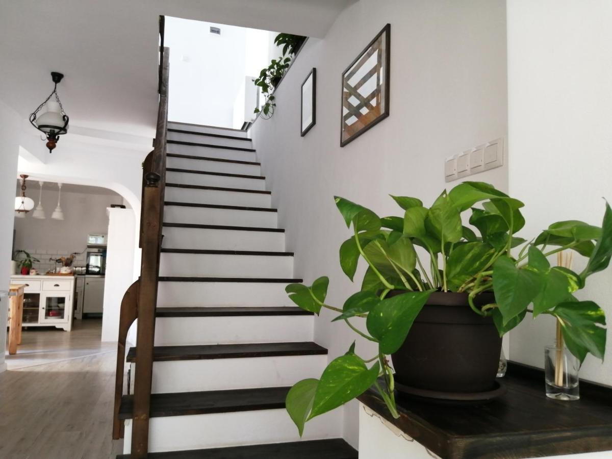 Casa Scheiana Bed & Breakfast บราชอฟ ภายนอก รูปภาพ