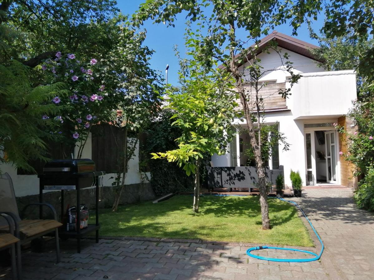 Casa Scheiana Bed & Breakfast บราชอฟ ภายนอก รูปภาพ
